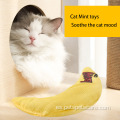 Juguetes de gato gato menta juguetes lienzo material interactivo